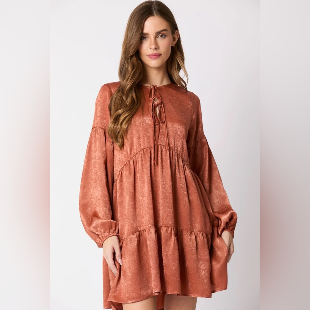 Fantastic Fawn Elegant Rust Dress
